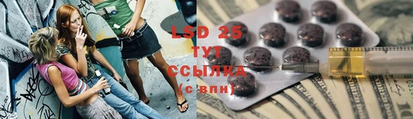 ПСИЛОЦИБИНОВЫЕ ГРИБЫ Вязники