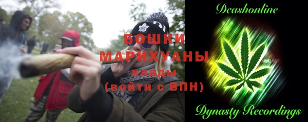 ПСИЛОЦИБИНОВЫЕ ГРИБЫ Вязники