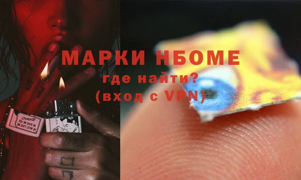 ПСИЛОЦИБИНОВЫЕ ГРИБЫ Вязники