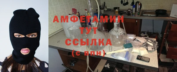 ПСИЛОЦИБИНОВЫЕ ГРИБЫ Вязники