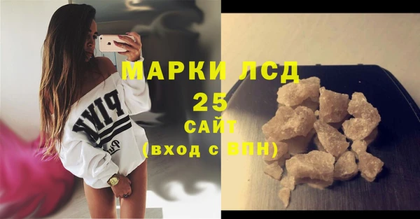 ПСИЛОЦИБИНОВЫЕ ГРИБЫ Вязники