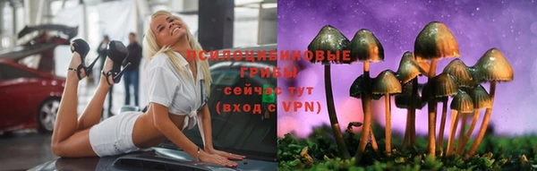 меф Вяземский
