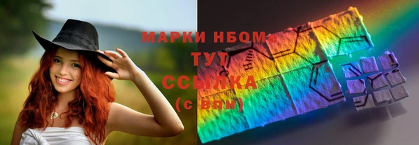 ПСИЛОЦИБИНОВЫЕ ГРИБЫ Вязники