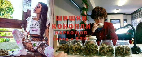 ПСИЛОЦИБИНОВЫЕ ГРИБЫ Вязники