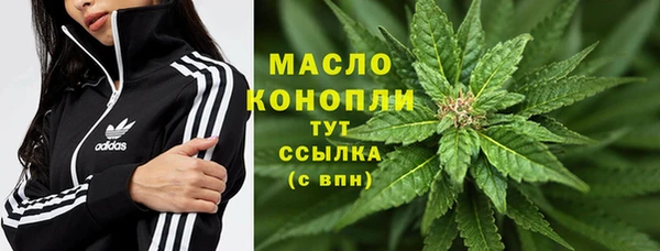 меф Вяземский