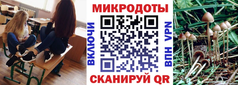 MEGA ссылка  Инза  Галлюциногенные грибы GOLDEN TEACHER 